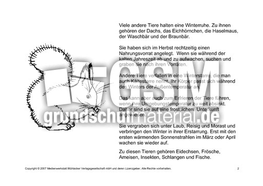 Fehlerlesen-Tiere-im-Winter-Lesetext-2.pdf